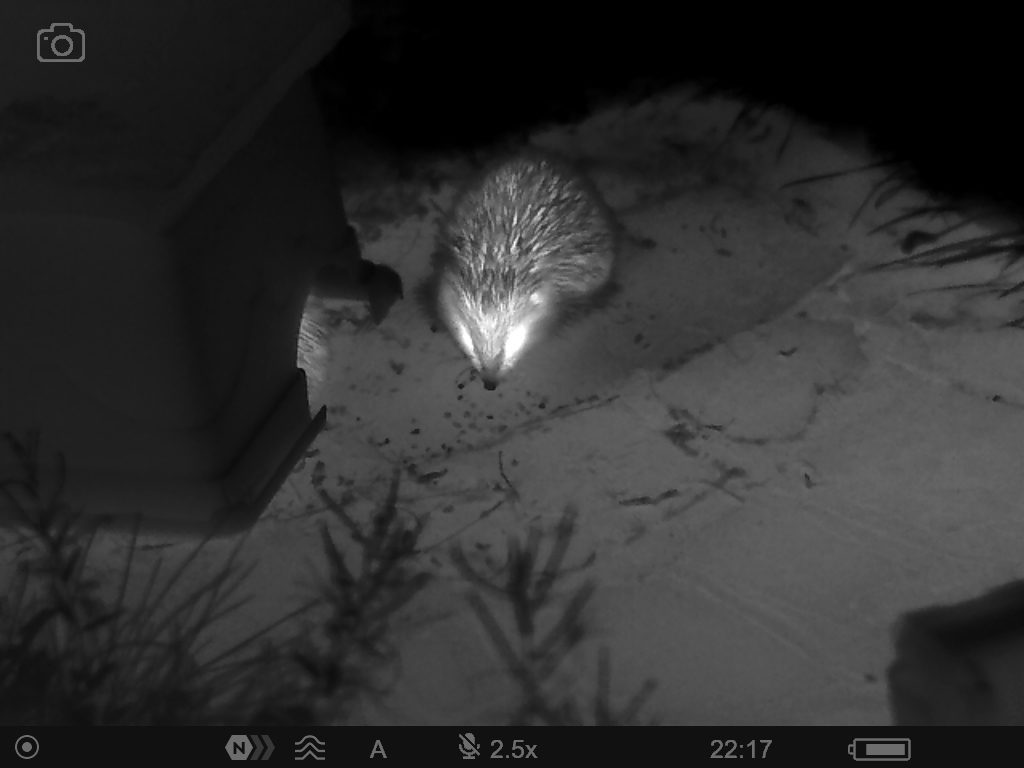 Thermal Imaging Specifications Explained