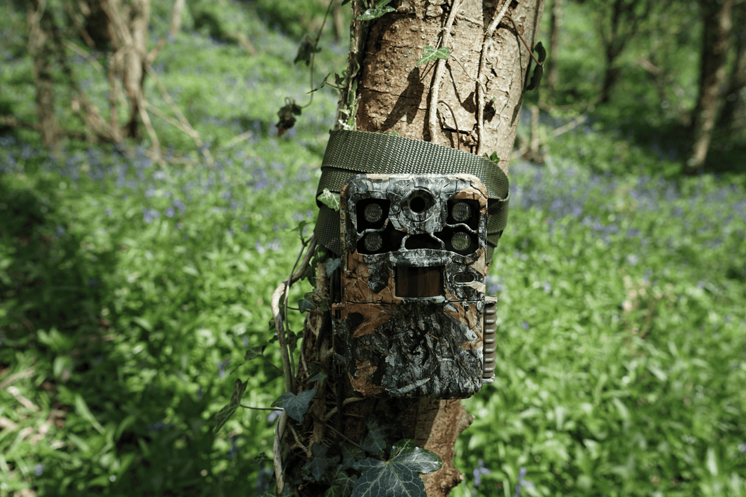 Help choosing a camera trap